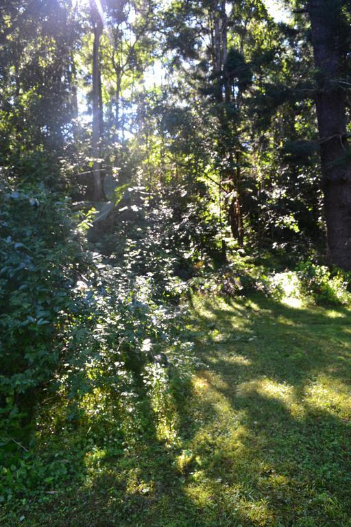 Tuckers Retreat 호텔 Canungra 외부 사진