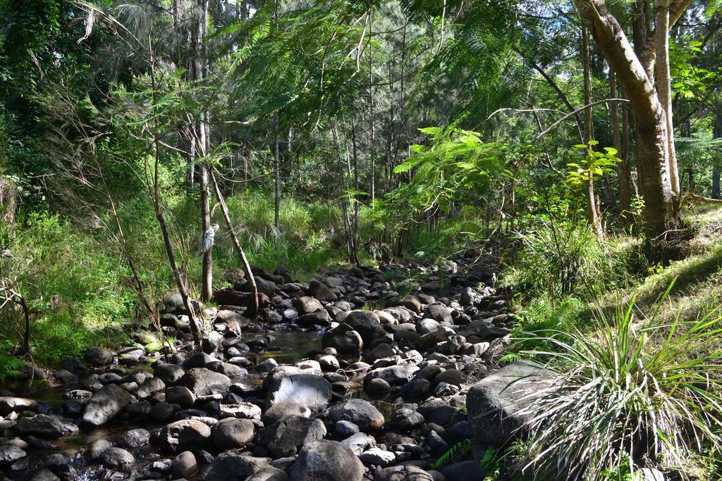 Tuckers Retreat 호텔 Canungra 외부 사진