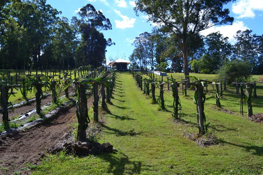 Tuckers Retreat 호텔 Canungra 외부 사진