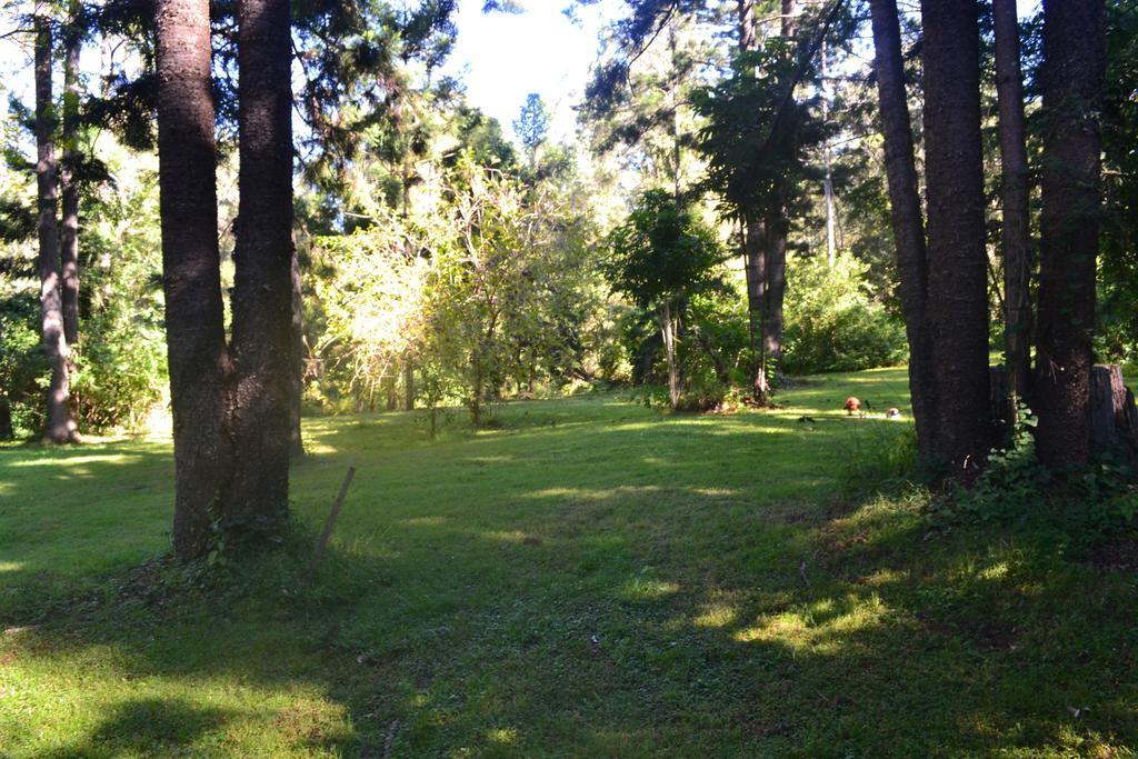 Tuckers Retreat 호텔 Canungra 외부 사진