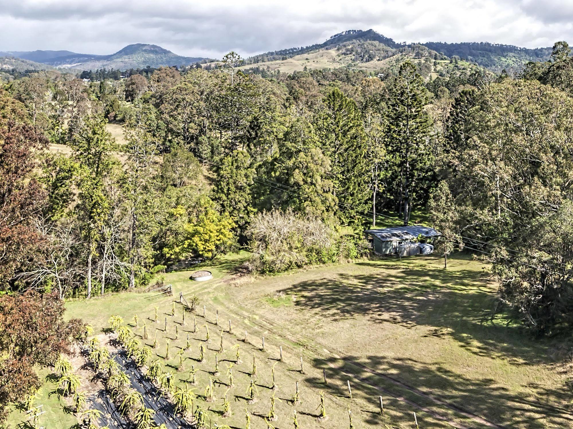 Tuckers Retreat 호텔 Canungra 외부 사진
