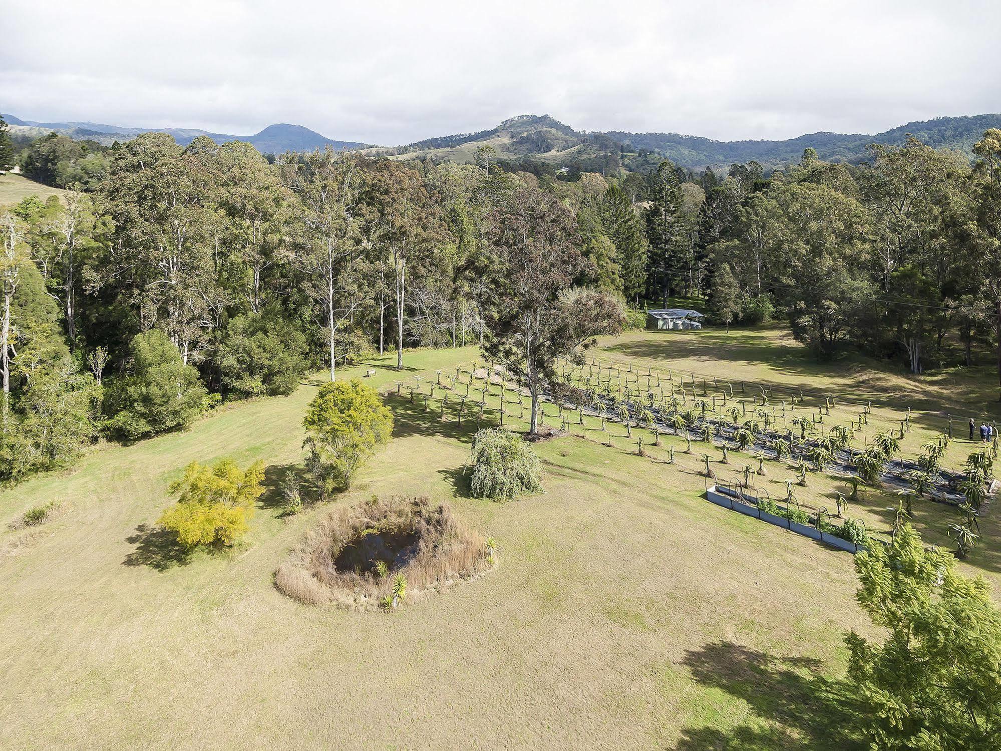 Tuckers Retreat 호텔 Canungra 외부 사진